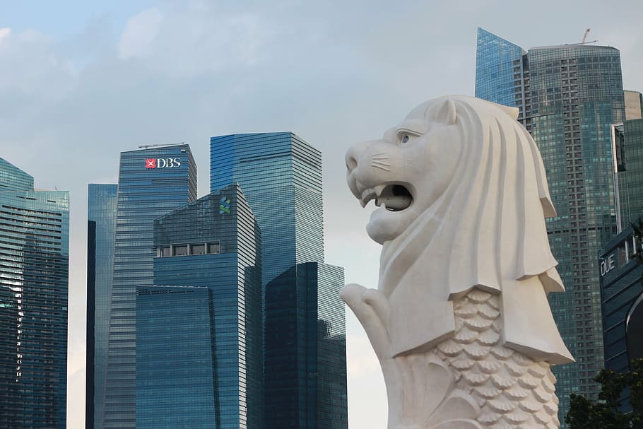 HD wallpaper: Merlion, Singapore, statue, fountain, city, sea lion