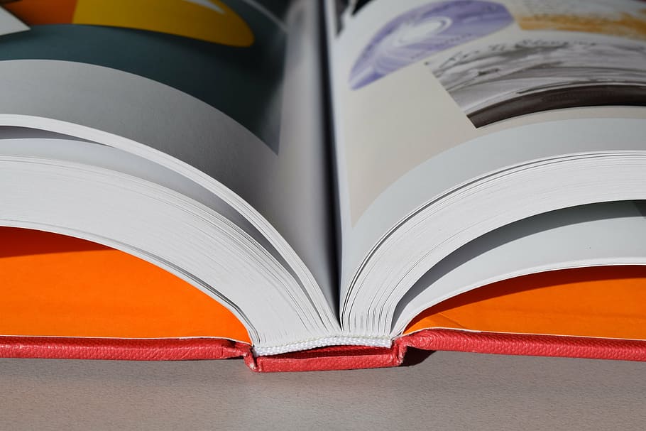 opened white book, books, resources, reading, education, knowledge HD wallpaper