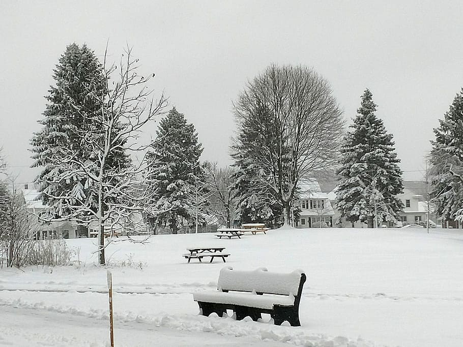 winter, snow, bench, peaceful, cold temperature, tree, nature HD wallpaper