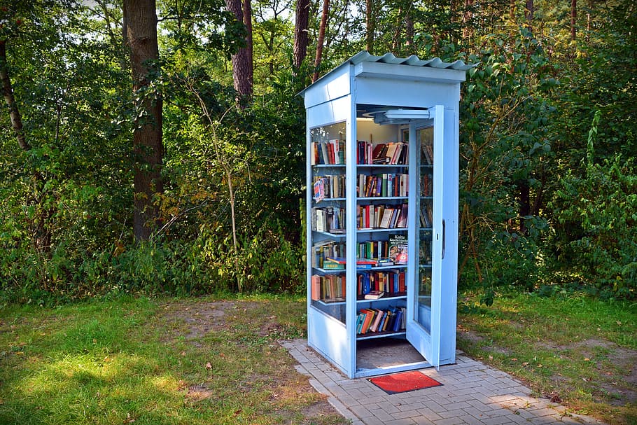 Hd Wallpaper White Wooden Shelf Filled With Books On Outdoors