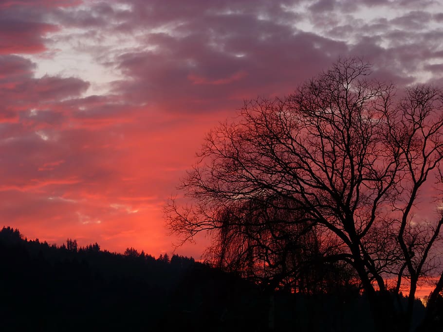 landscape, trees, forest, silhouette, nature, sunset, sky, clouds HD wallpaper