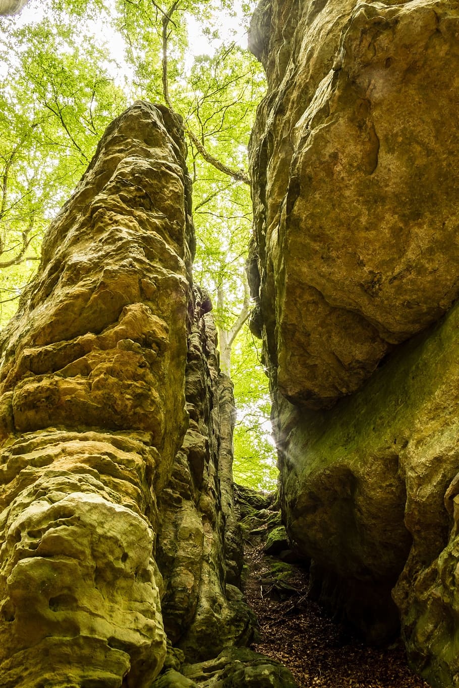 rock, column, passage, way out, forest, trees, output, green HD wallpaper