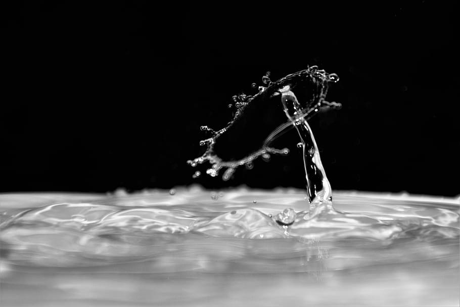 waterdrops, droplets, liquid, nature, clear, splash, macro HD wallpaper