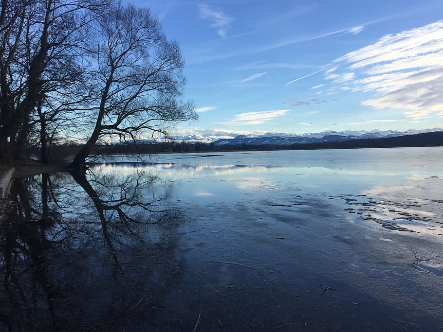 Greifensee, Ice, Winter, reflection, bare tree, water, sky HD wallpaper