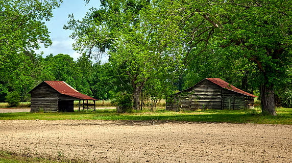 Alabama, Landscape, Forest, Trees, Woods, barn, shed, buildings HD wallpaper