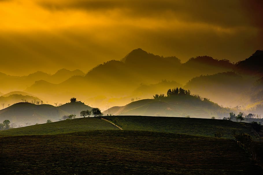 silhouette of trees over mountain range, nature, mountains HD wallpaper