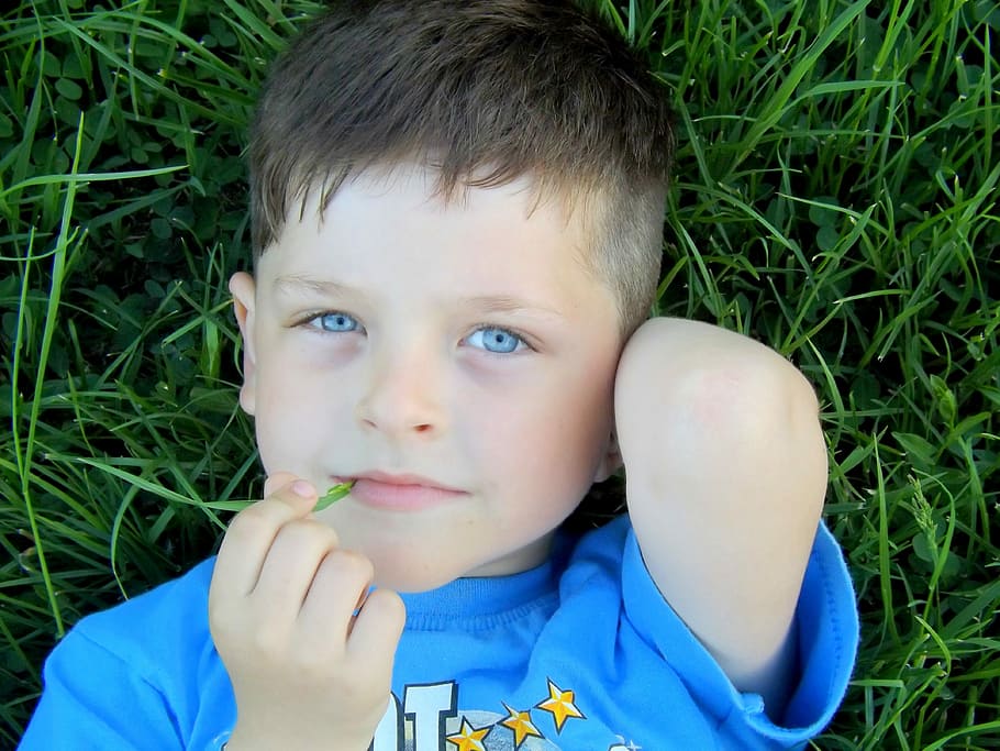 Boy, Portrait, Blue, Grass, children only, childhood, headshot HD wallpaper