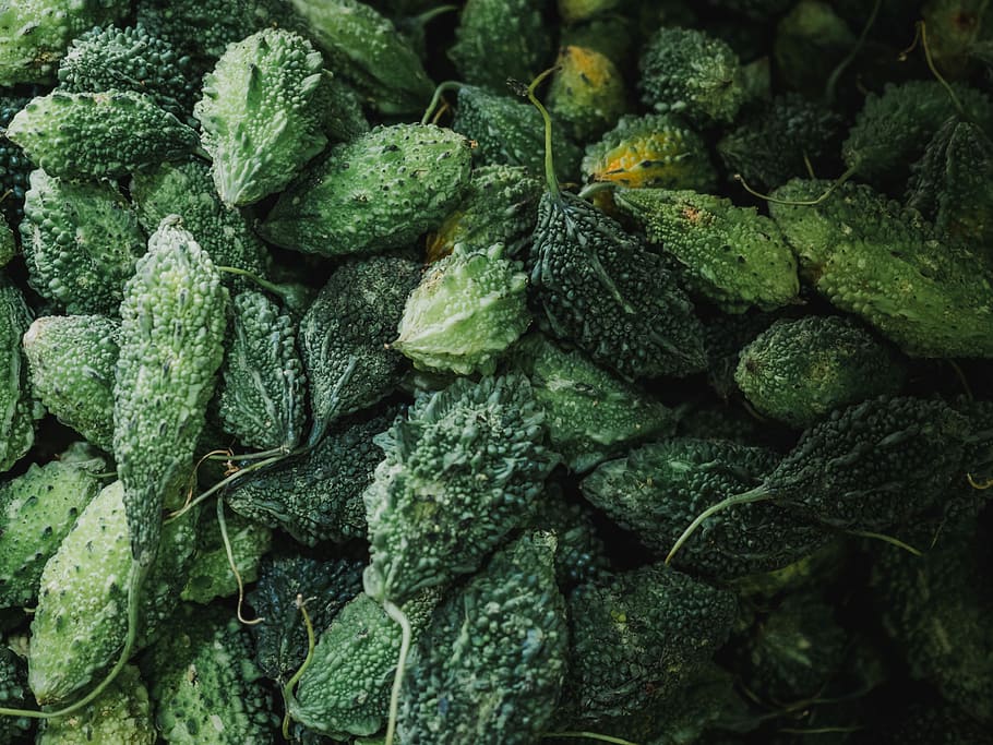 bittermelon lot, bunch of bitter gourds, nature, vegetable, green HD wallpaper