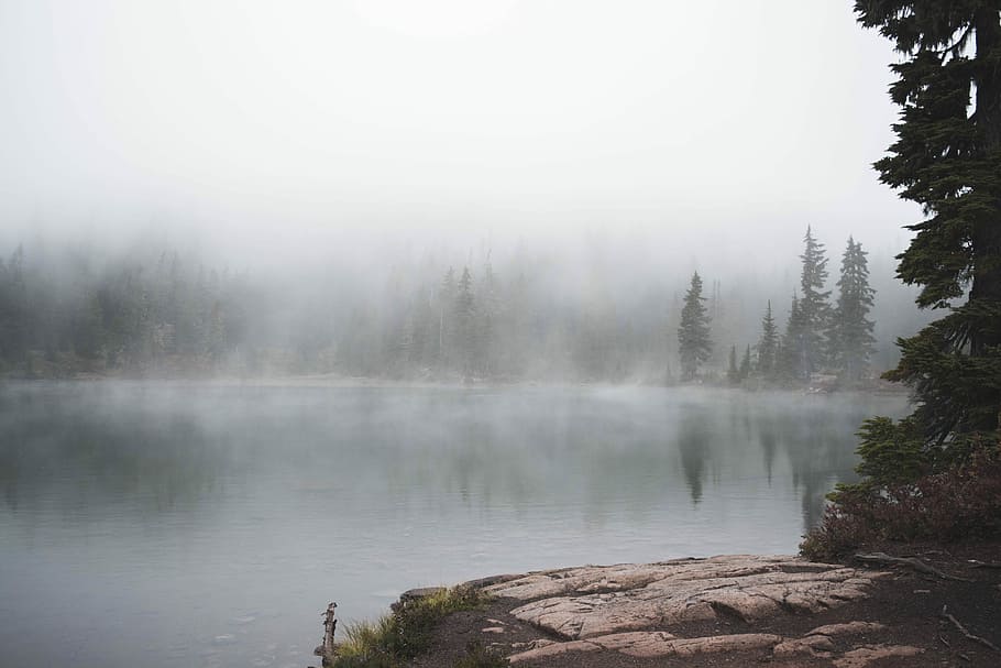 calm lake with mist during daytime, lake surrounded by green trees and fog during daytime, HD wallpaper