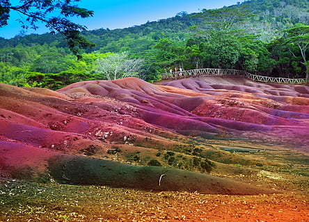 Color, Sands, Chamarel, Mauritius, rural scene, tree, landscape HD wallpaper