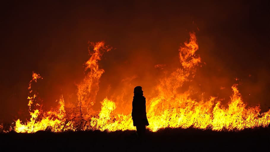 fire, without fear, hood, hell, burning, fire - natural phenomenon HD wallpaper