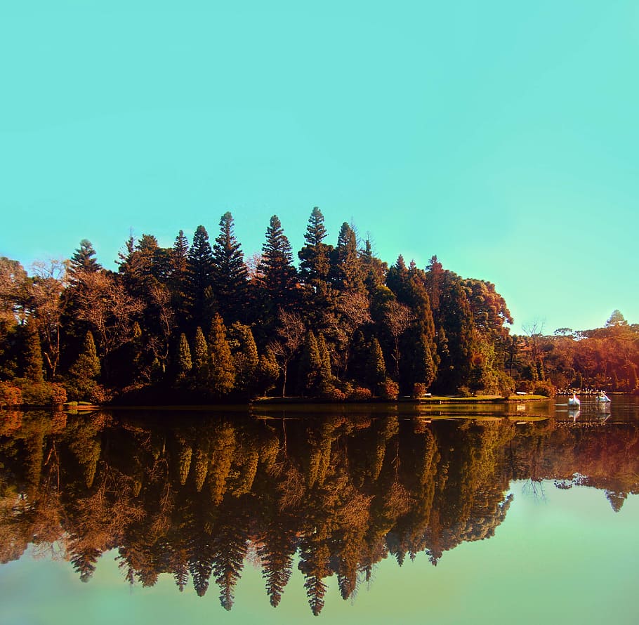 park, trees, nature, green, forest, blue sky, landscape, water HD wallpaper