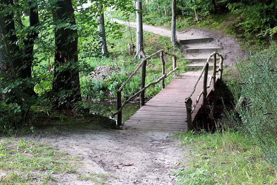 forest, way, landscape, the path, spacer, alley, bridge, plant HD wallpaper