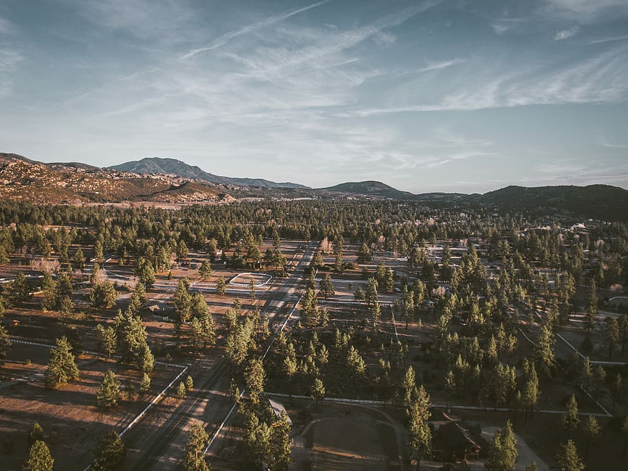 aerial photography of road at subdivision with trees during cloudy skies, bird's-eye view photography of road with trees HD wallpaper