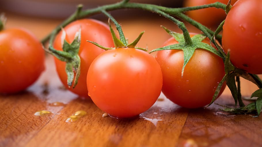 close up photography of tomatoes, red, vine, juice, fruit, food and drink HD wallpaper