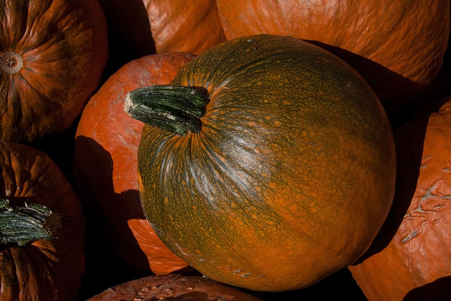 pumpkins, cucurbita, cucurbitaceae, cucurbita maxima, orange HD wallpaper
