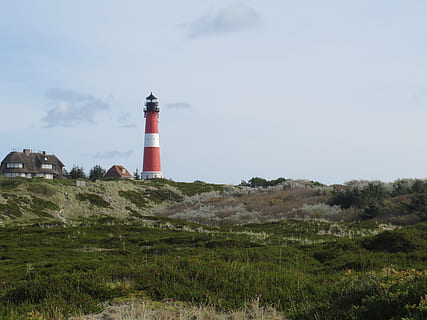 lighthouse, sylt, hörnum, heide, guidance, built structure HD wallpaper