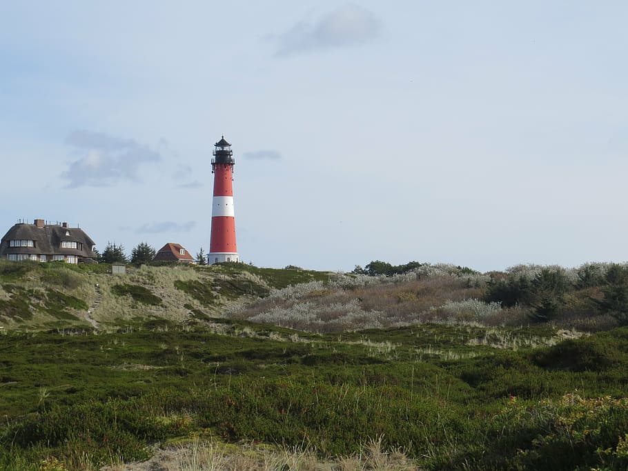 lighthouse, sylt, hörnum, heide, guidance, built structure HD wallpaper