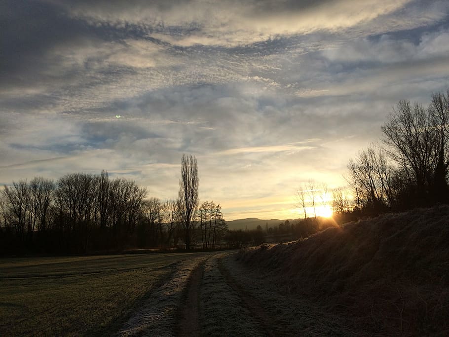 clouds landscape, tree, light, sky sun, prairie, nature, cloud - sky HD wallpaper