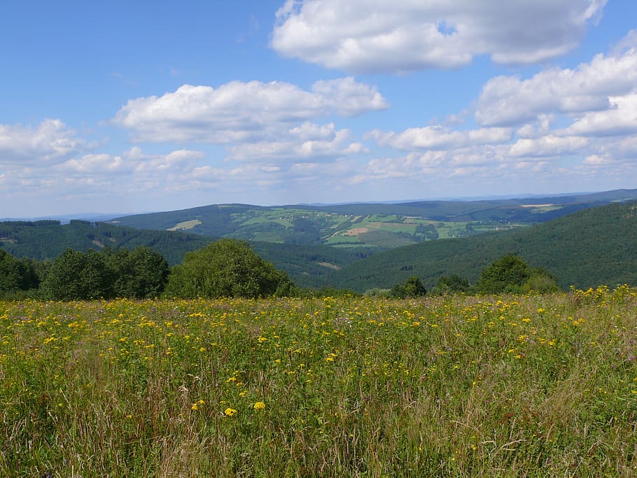 meadow, nature, czech, beauty in nature, cloud - sky, landscape HD wallpaper