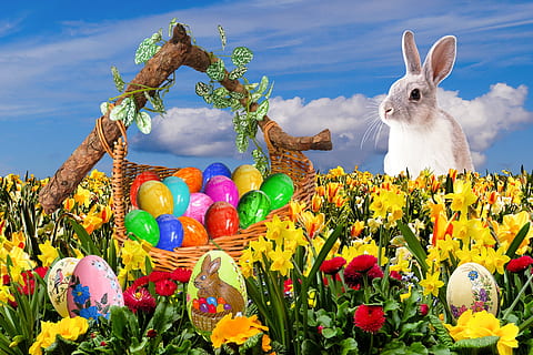 easter, happy easter, easter nest, osterkorb, easter egg, surprise HD wallpaper