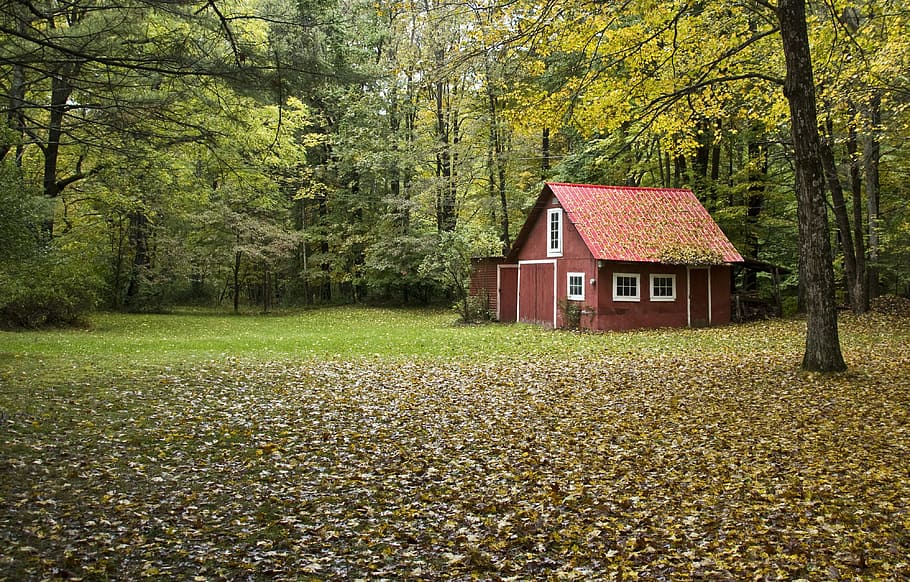 brown wooden house in the middle of forest, red barn, autumn HD wallpaper