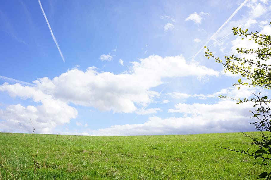 sky, clouds, blue, summer, nice weather, light blue, cloud - sky HD wallpaper