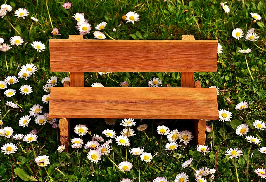 brown wooden bench beside daisy flowers, meadow, grass, bank HD wallpaper