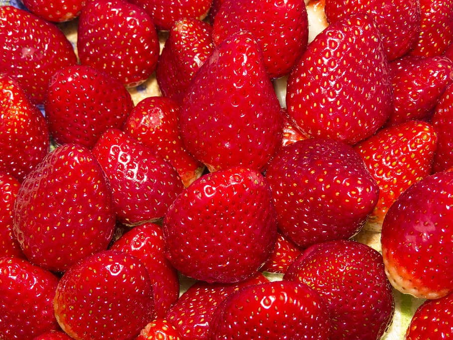 strawberry, fruit, macro, delight, health, power supply, natural HD wallpaper