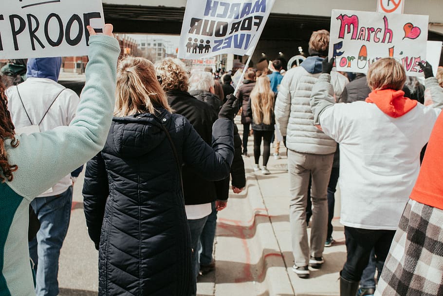 people holding posters and flyers during daytime, group of people holding signages HD wallpaper