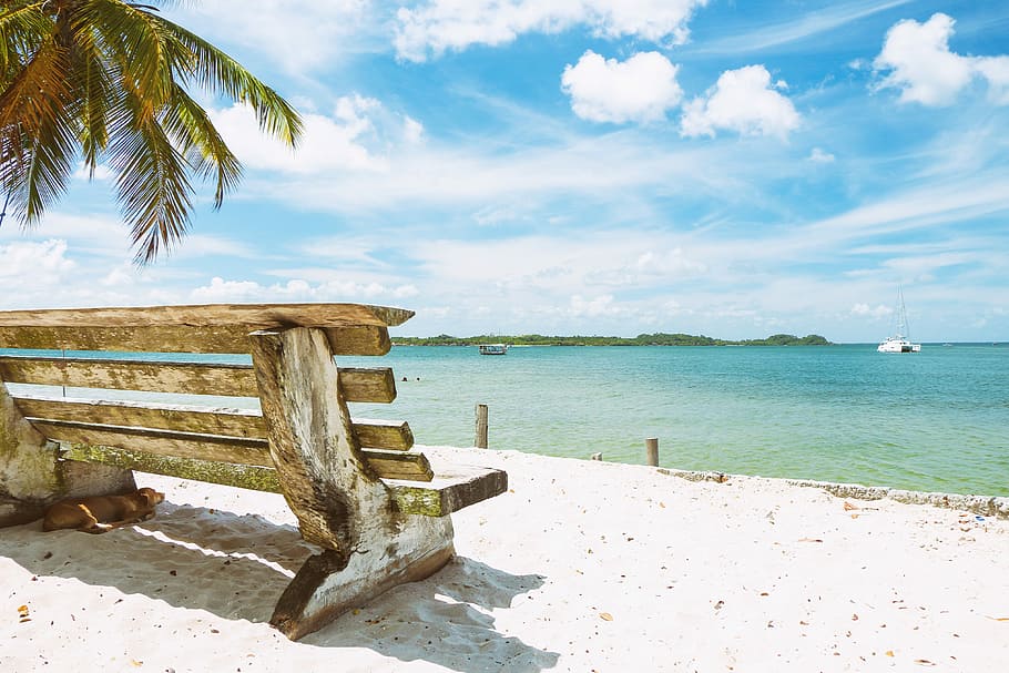 brown wooden bench on white beach sand, empty bench in front of beach HD wallpaper