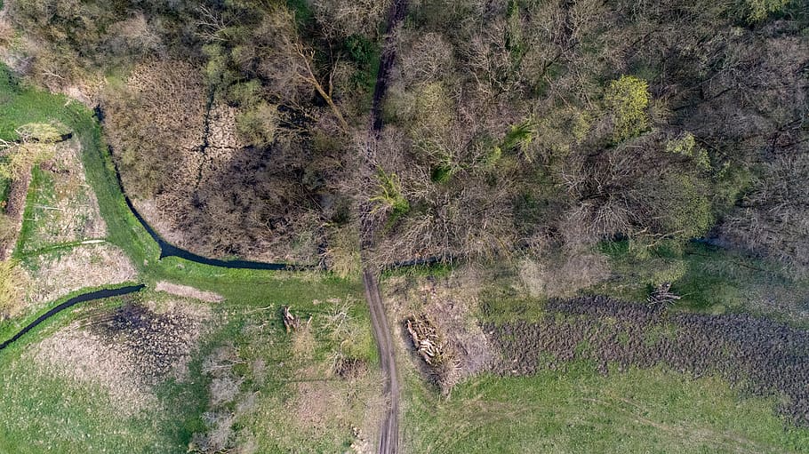 nature, tree, landscape, spring, drone, dji, idyllic, field HD wallpaper