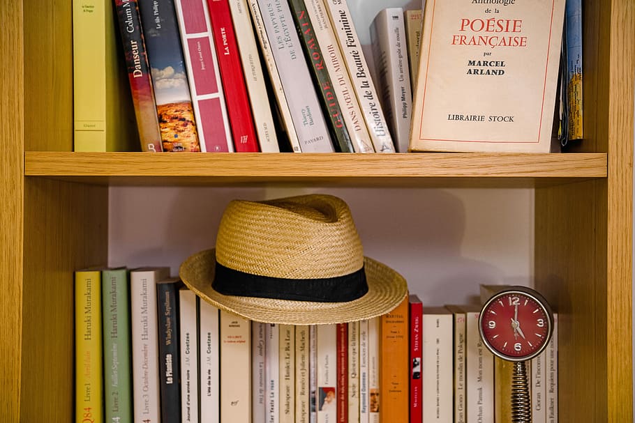 literature, bookcase, library, wisdom, reading, antique, paper HD wallpaper