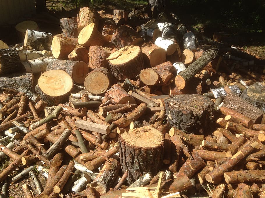log pile, halos, tree, countryside, timber, large group of objects HD wallpaper