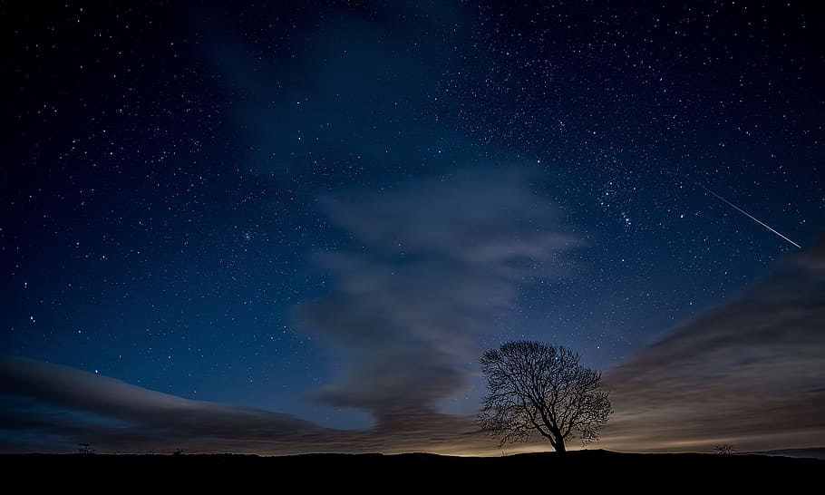 tree, plant, field, farm, cloud, sky, nature, outdoor, stars HD wallpaper