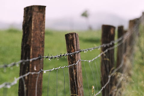 shallow focus photography of barb wire, Alambre, fence, field HD wallpaper