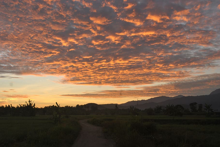 sunrise, ricefields, sumbawa, sunset, sky, scenics - nature HD wallpaper