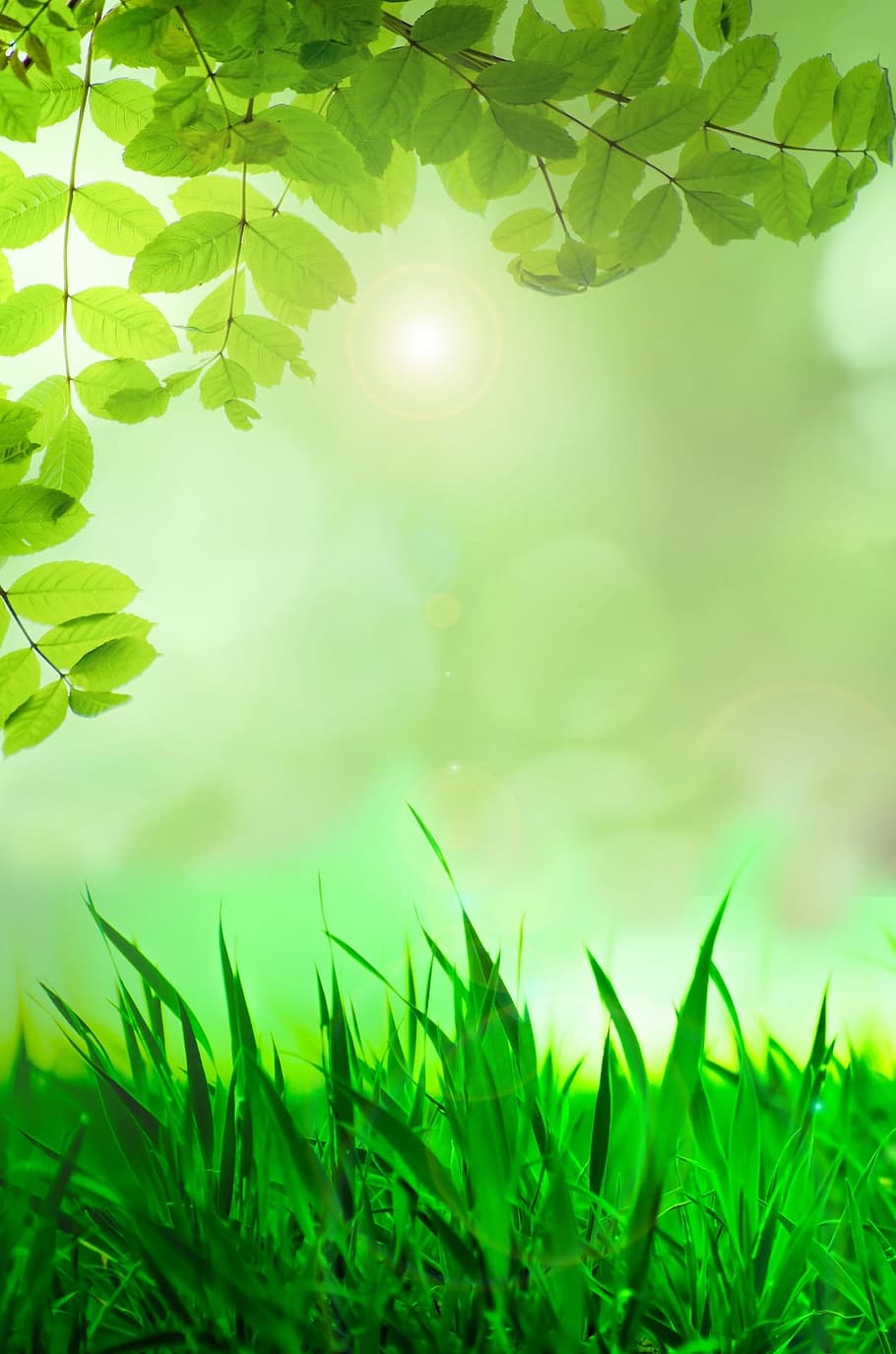 green leafed plants, spring, leaves, grass, tree, easter, branch HD wallpaper