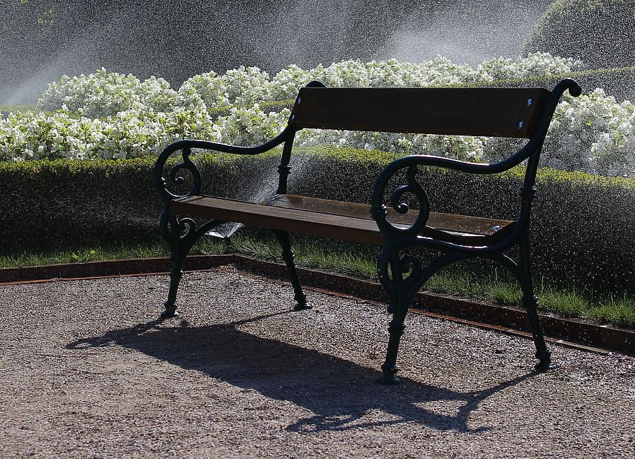 bench, park, water, seat, empty, sunlight, absence, nature HD wallpaper