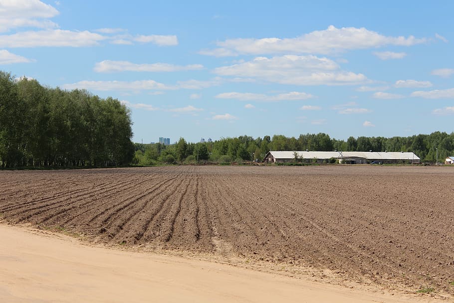 sky, field, land, landscape, tillage, agriculture, nature, plow HD wallpaper