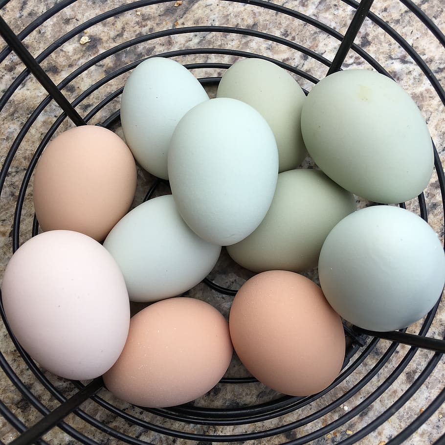 eggs, farm, fresh, food, wellbeing, freshness, vulnerability HD wallpaper