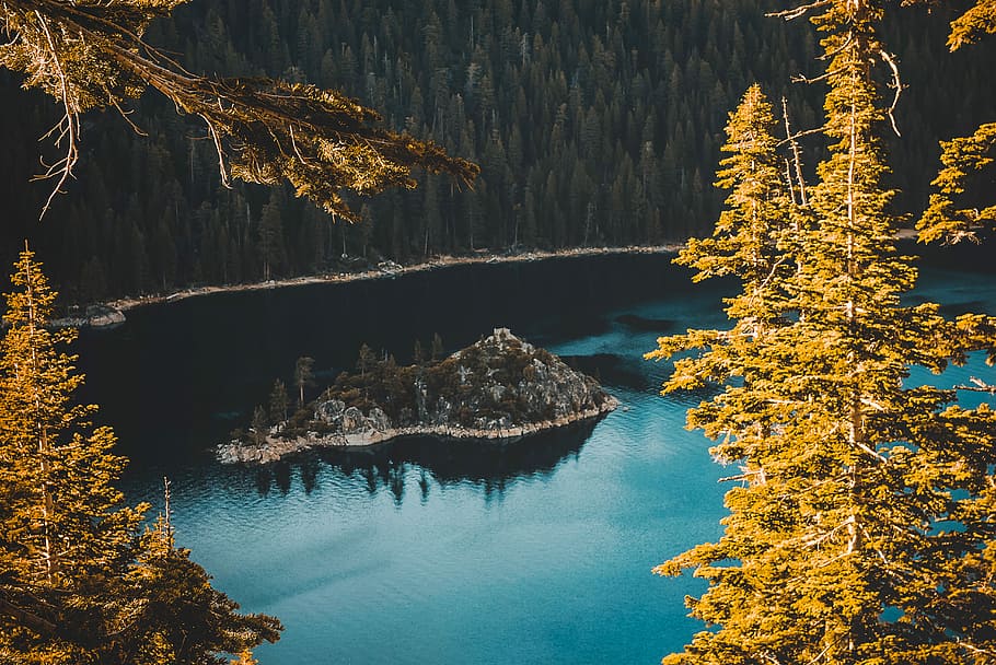 bird's eye view of island near tall trees, island surrounded with calm water with trees at the distance at daytime HD wallpaper