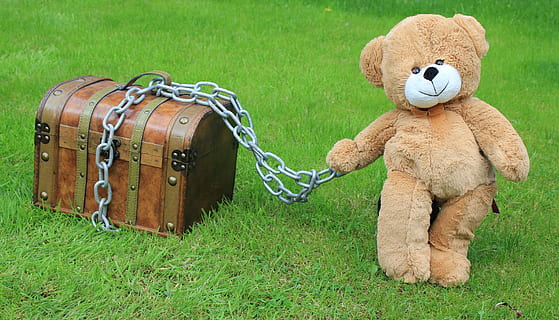brown wooden steamer trunk beside bear plush toy, chest, treasure HD wallpaper