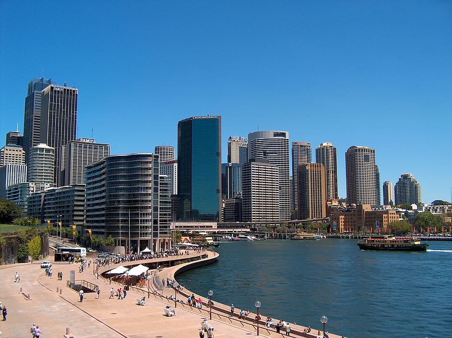 city near the body of water at daytime, sydney, beach, skyline, HD wallpaper