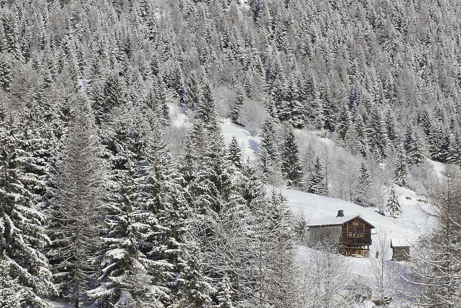 winter, mountains, chalet, hut, woods, snow, forest, hill, alps HD wallpaper