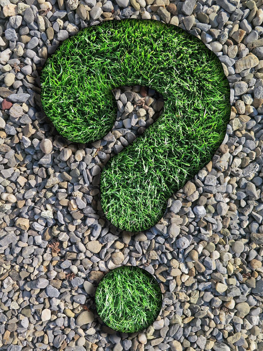 green grass, question, advisor, rush, pebbles, question mark, HD wallpaper