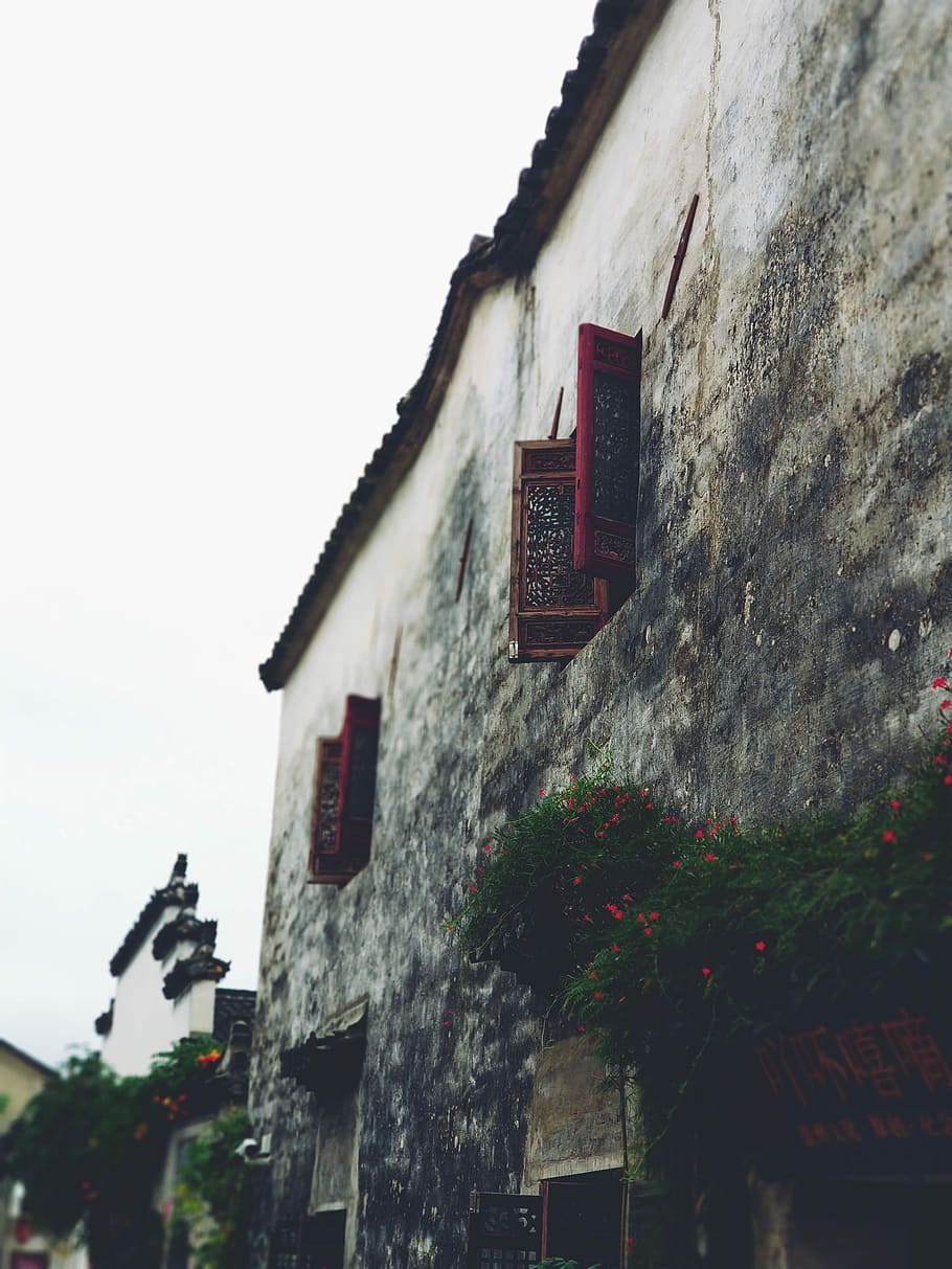 white painted house, two opened red wooden windows during daytime HD wallpaper