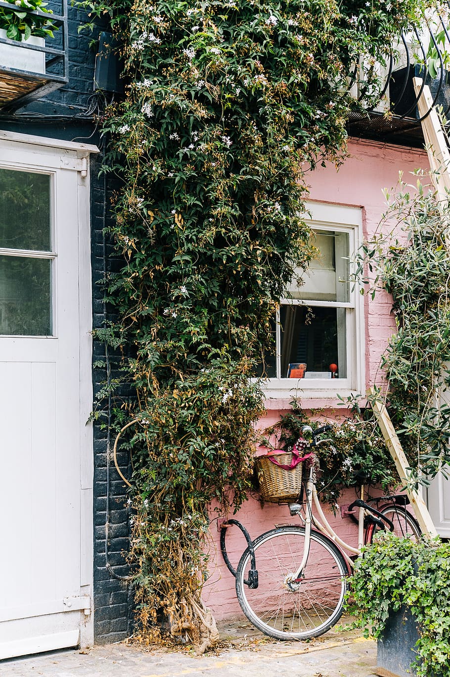 Green Leaf Plant, architecture, basket, bicycle, bricks, bungalow HD wallpaper