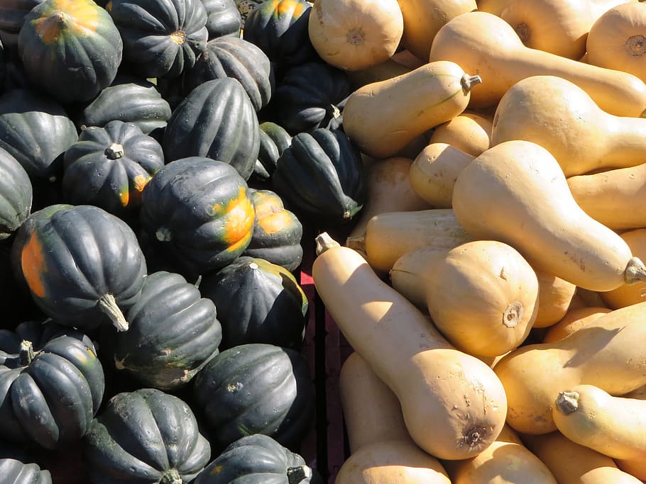 Pumpkin, Market, Fruit, food and drink, full frame, healthy eating HD wallpaper