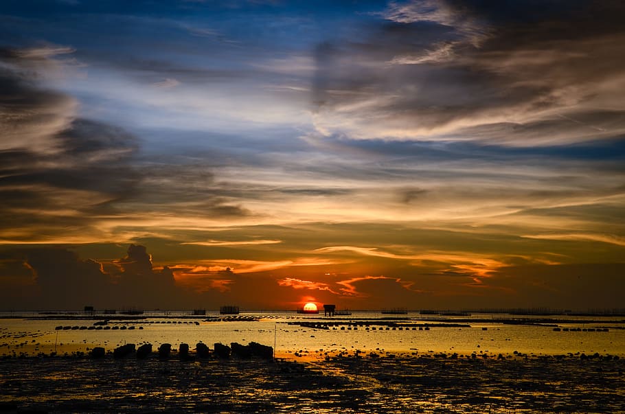 seashore during goldenhour, sunset, beach, sand, sky, beach sunset HD wallpaper